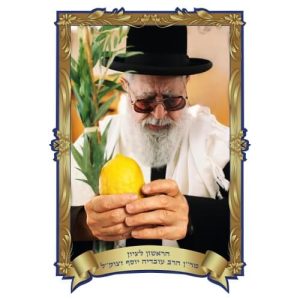 פלקט תלת מימד 3550 ס"מ הרב עובדיה בסוכות 1003
