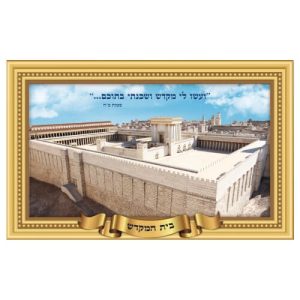 פלקט תלת מימד 68/45 ס"מ בית המקדש 1003276