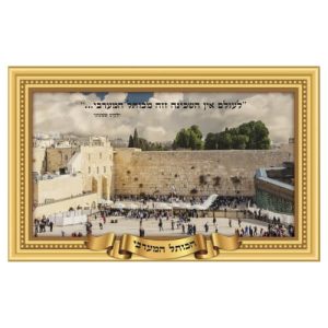 פלקט תלת מימד 68/45 ס"מ הכותל 1003272