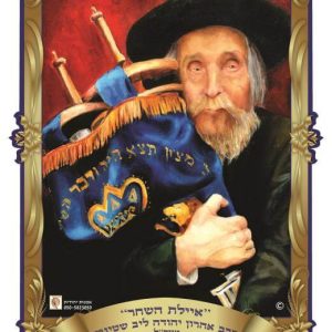 פלקט תלת מימד 3550 ס"מ הרב שטיינמן 1004304