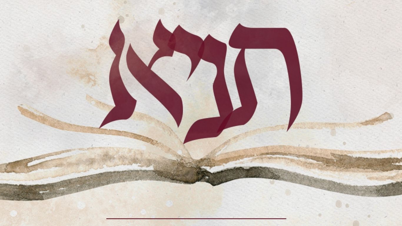 נשים
