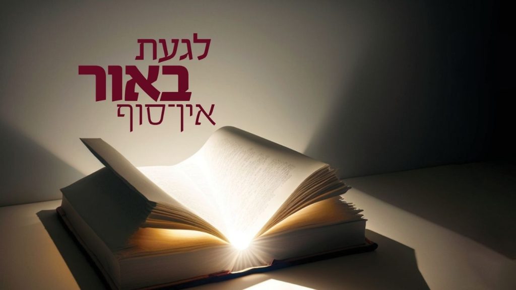 חסידות באזור
