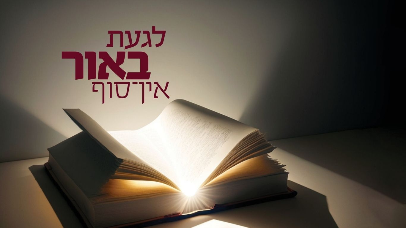 חסידות באזור